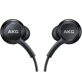 Наушники Samsung Type-C Earphones (EO-IC100) Black