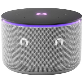 Умная колонка Яндекс Станция Мини 3 Про с Zigbee , Серый