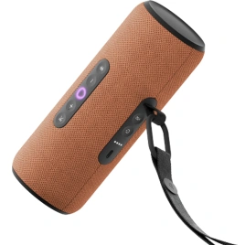 Портативная колонка Яндекс Станция Стрит Оранжевый