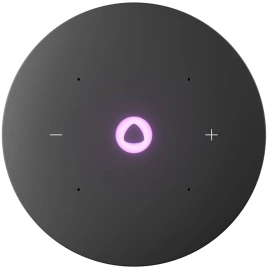 Умная колонка Яндекс Станция Мини 3 Про с Zigbee , Серый