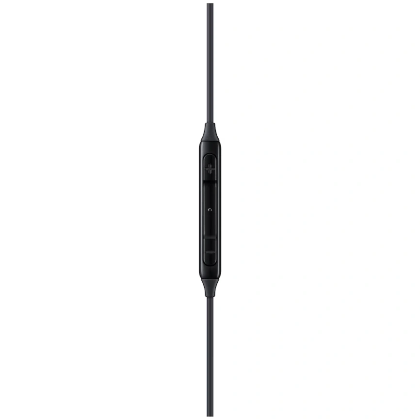 Наушники Samsung Type-C Earphones (EO-IC100) Black фото 6