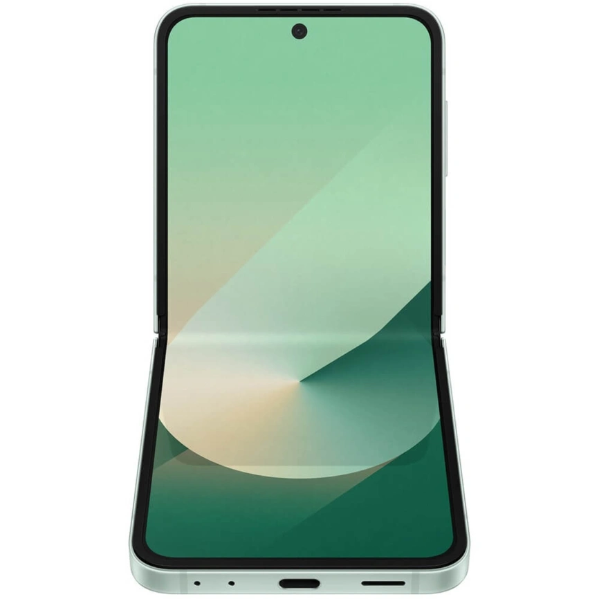 Смартфон Samsung Galaxy Z Flip6 12/256GB Mint фото 7
