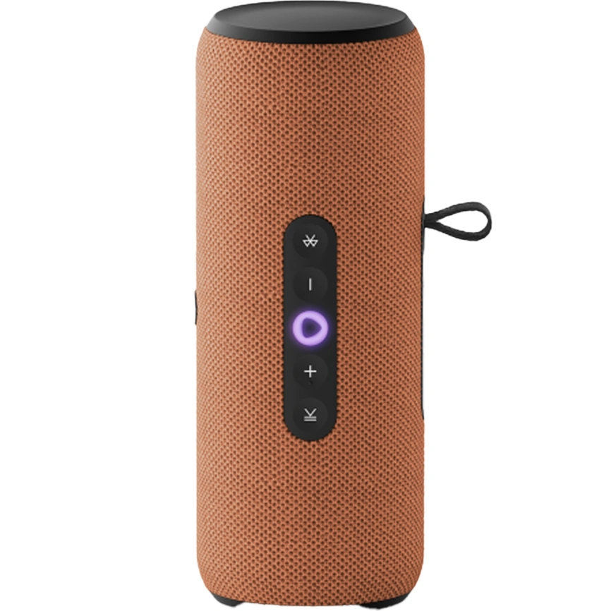 Портативная колонка Яндекс Станция Стрит Оранжевый фото 2