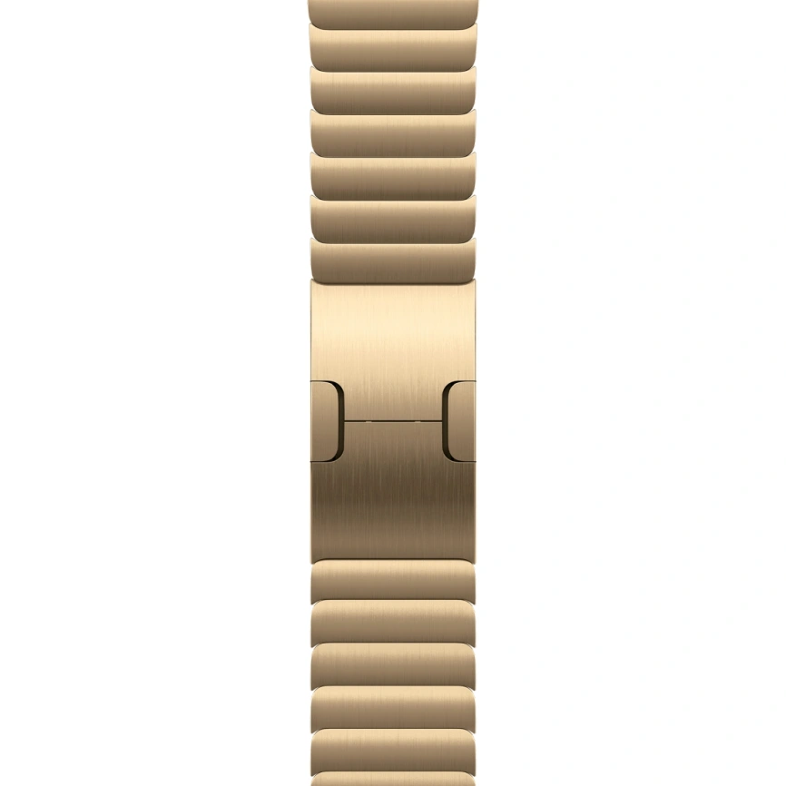 Смарт-часы Apple Watch Series 12 42mm Natural Titanium Case with Radiant Gold Link Bracelet фото 2