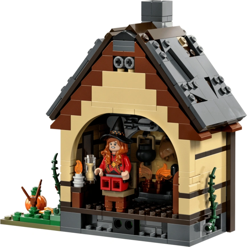 Конструктор LEGO Disney Hocus Pocus: The Sanderson Sisters’ Cottage 21341 фото 1