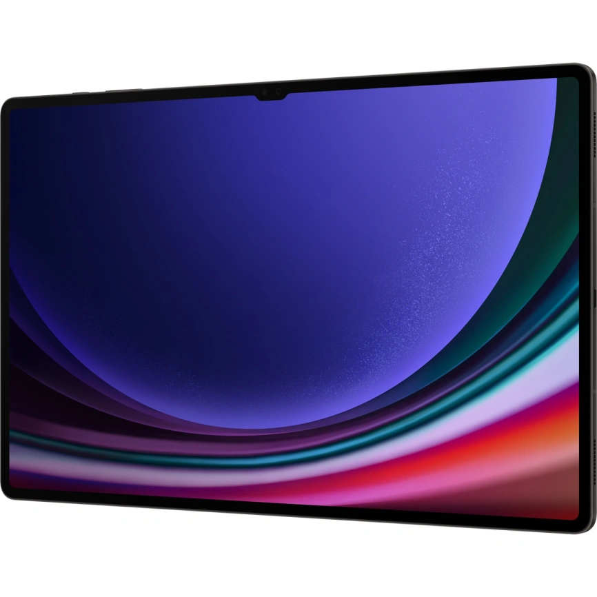 Планшет Samsung Galaxy Tab S9 Ultra LTE 12/256GB Graphite (SM-X916B) фото 5