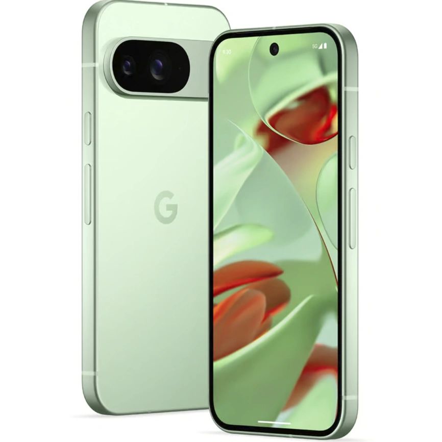 Смартфон Google Pixel 9 12/128Gb Wintergreen фото 1